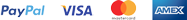 Marchio di accettazione Paypal