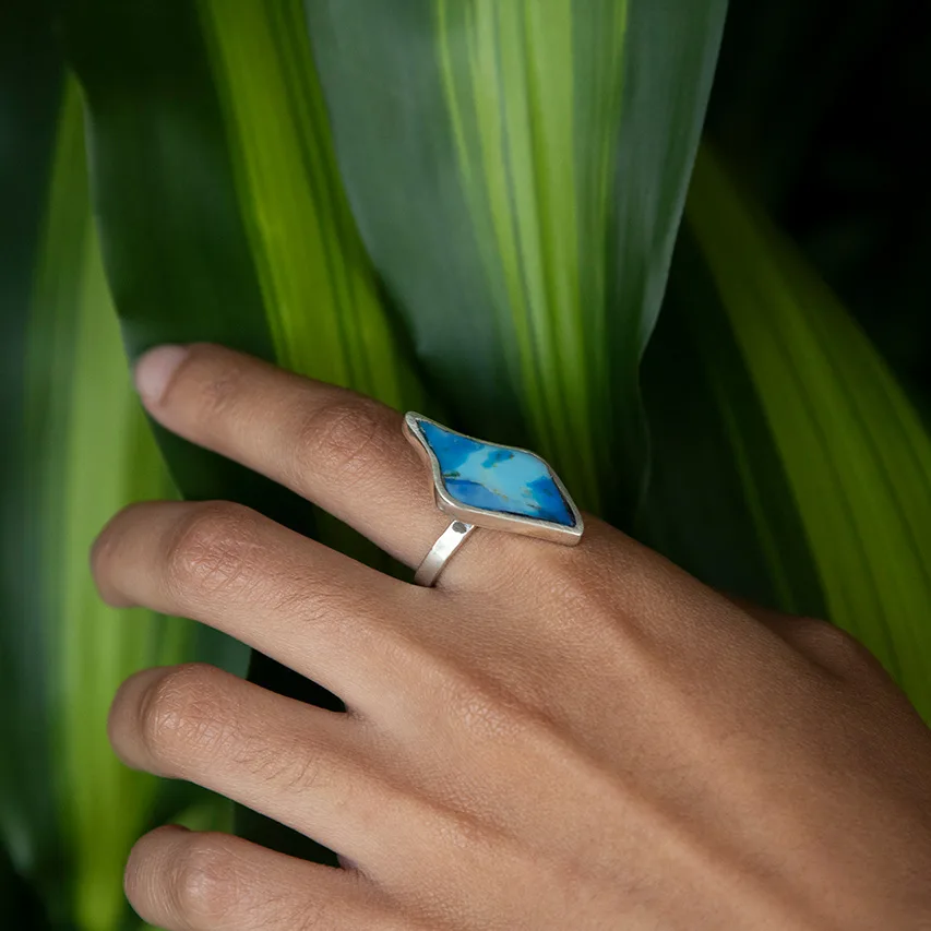 Anello Fragmento I